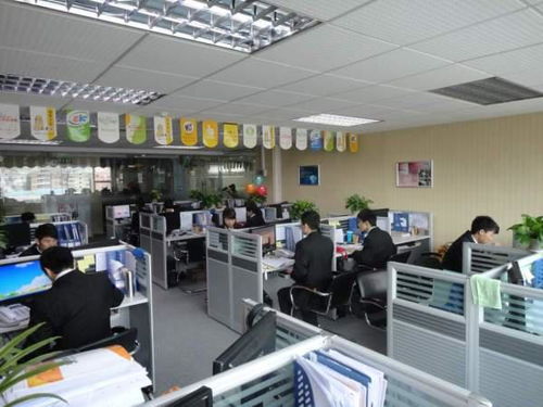 管理咨詢公司的特點