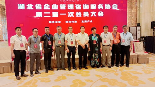 湖北省企業(yè)管理咨詢服務(wù)協(xié)會換屆,程鵬當(dāng)選為會長